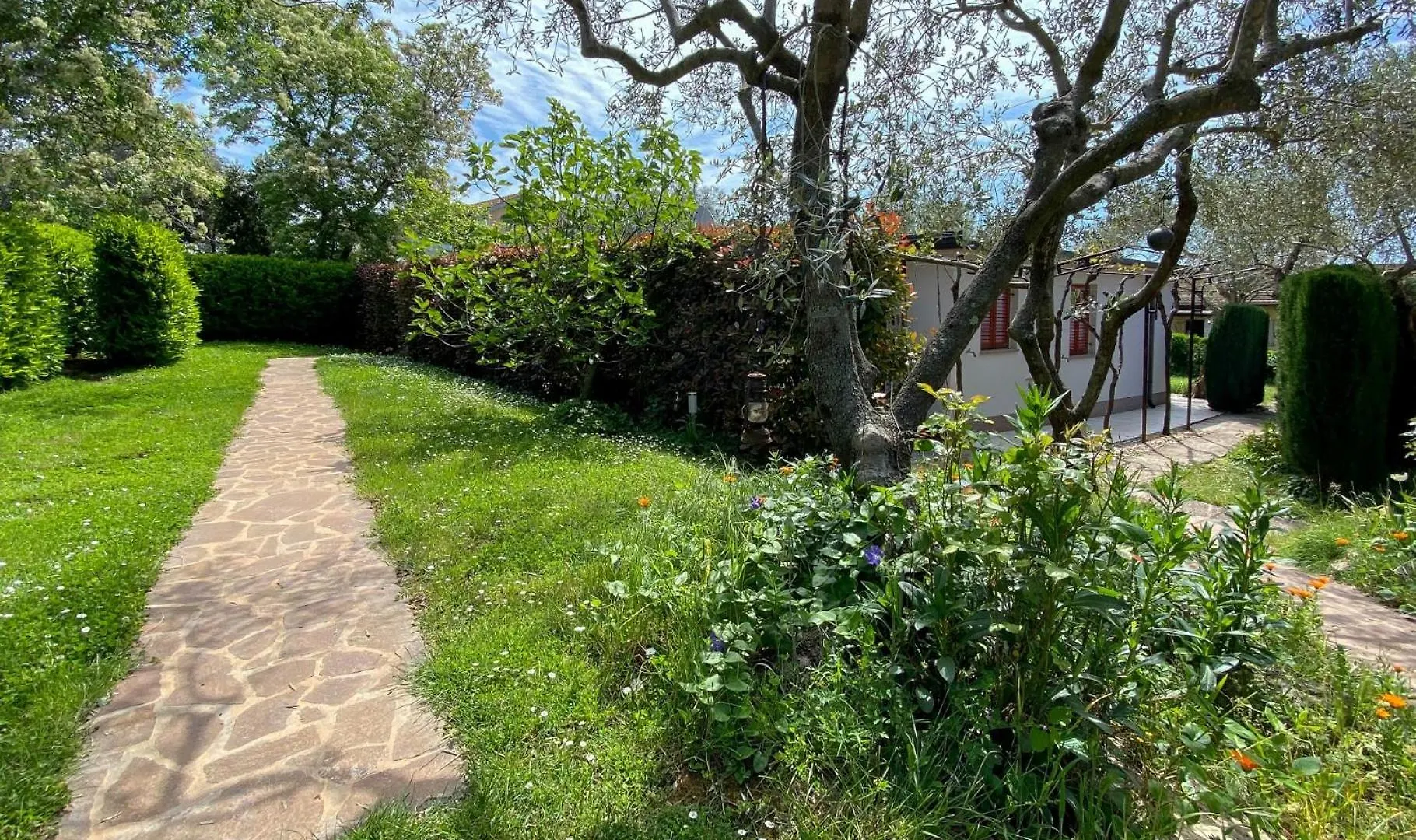 Timea A2 Apartment Zambratija   Zambratija (Istria)